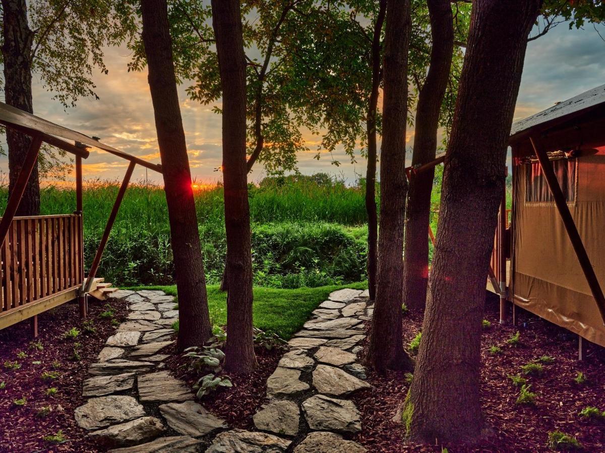 فندق Zatoria Luxury Glamping زاتور المظهر الخارجي الصورة